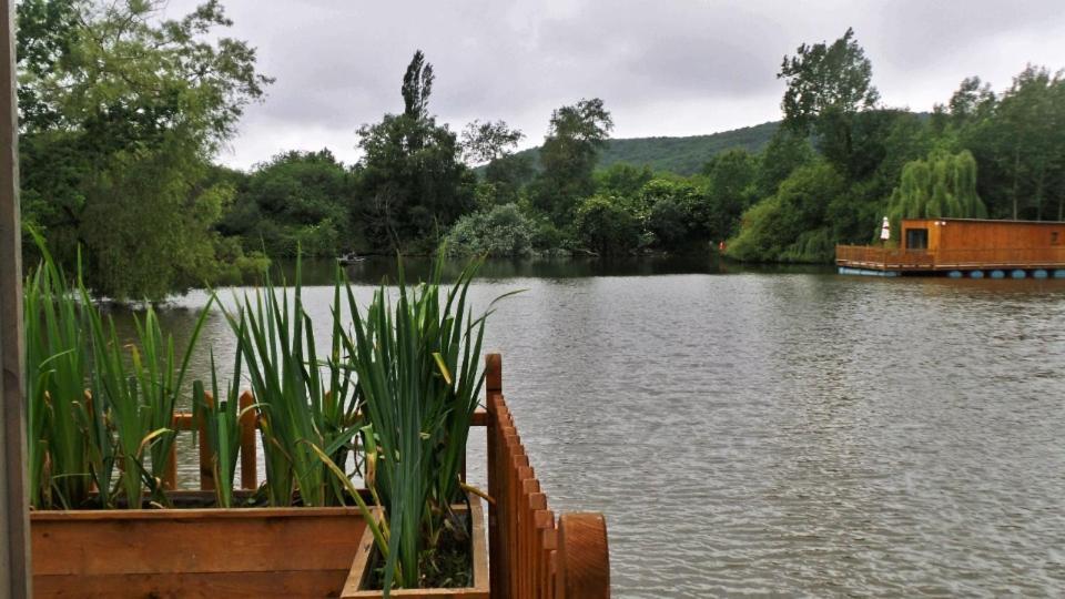 Cabanes Flottantes Et Gites Au Fil De L'Eau Colleville エクステリア 写真